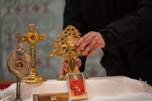 Photo by Jacek Zabłoński (www.ajzstudio.pl)