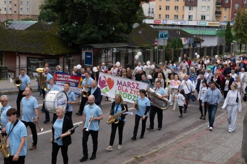 Photo by Jacek Zabłoński (www.ajzstudio.pl)