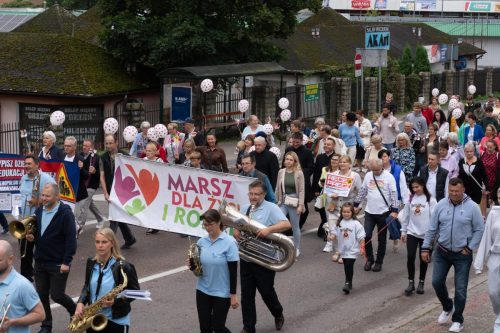 Photo by Jacek Zabłoński (www.ajzstudio.pl)