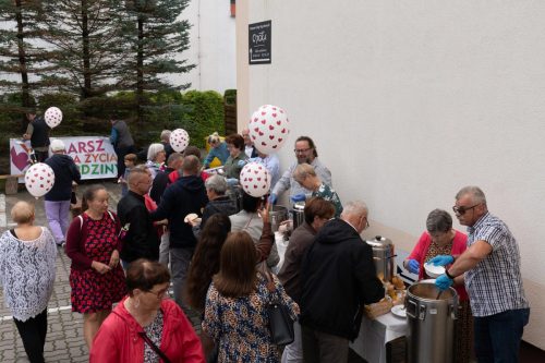 Photo by Jacek Zabłoński (www.ajzstudio.pl)